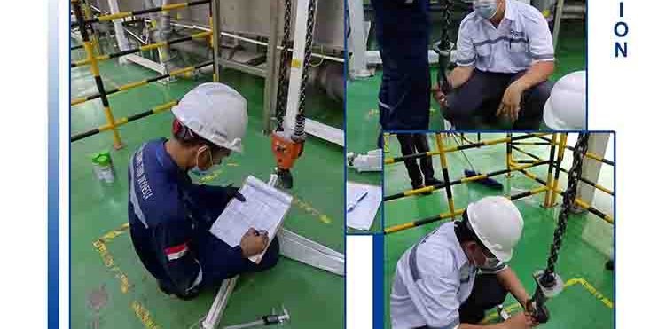 chanit hoist pt reckitt