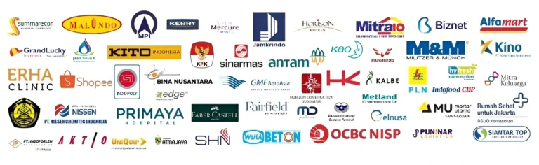 Logo Client Alfa Dinamis